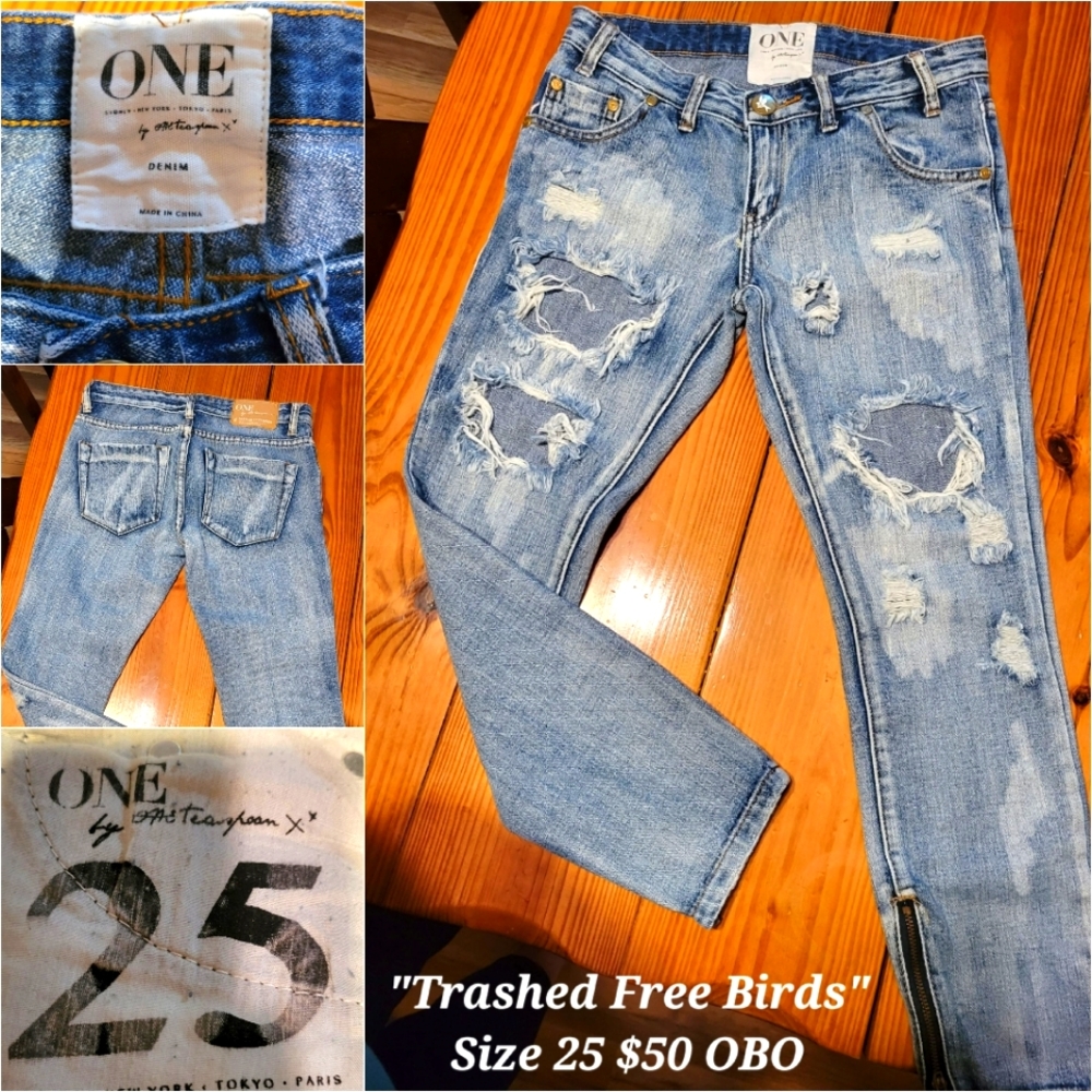 One Teaspoon Trashed free birds distressed HW skinny jeans